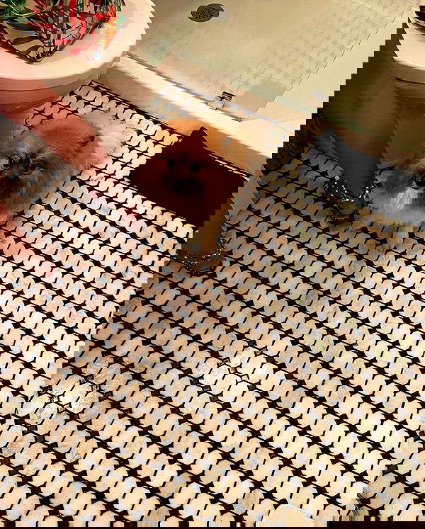 v.qx v.qx archive image