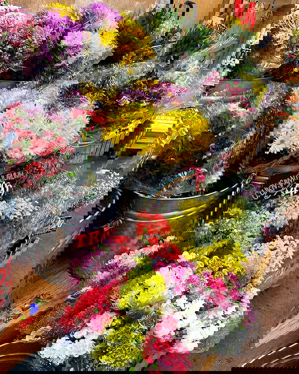 v.qx v.qx archive image