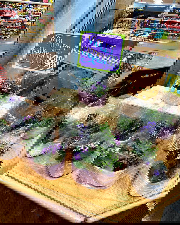 v.qx v.qx archive image