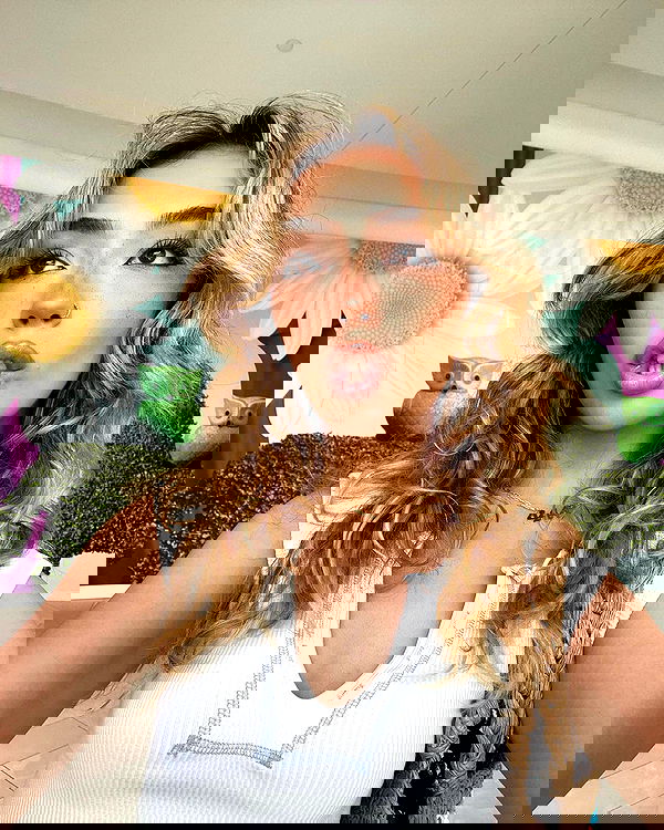 v.qx v.qx archive image