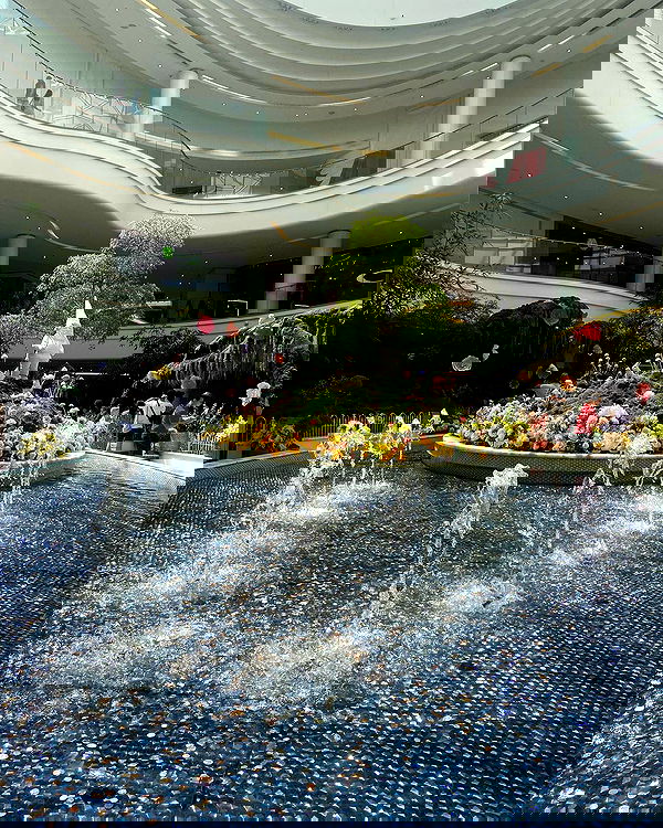 v.qx v.qx archive image