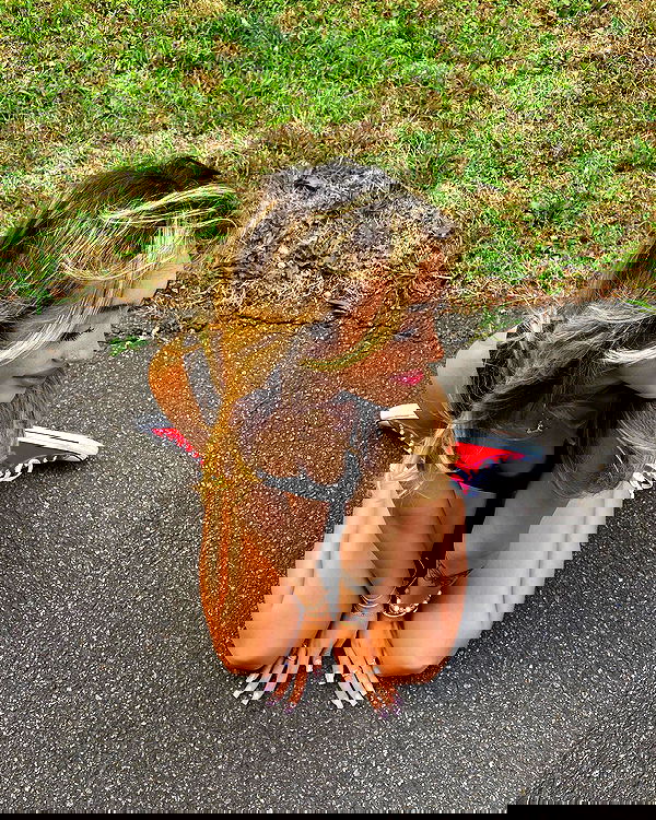 v.qx v.qx archive image