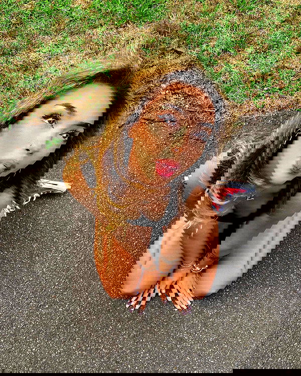 v.qx v.qx archive image