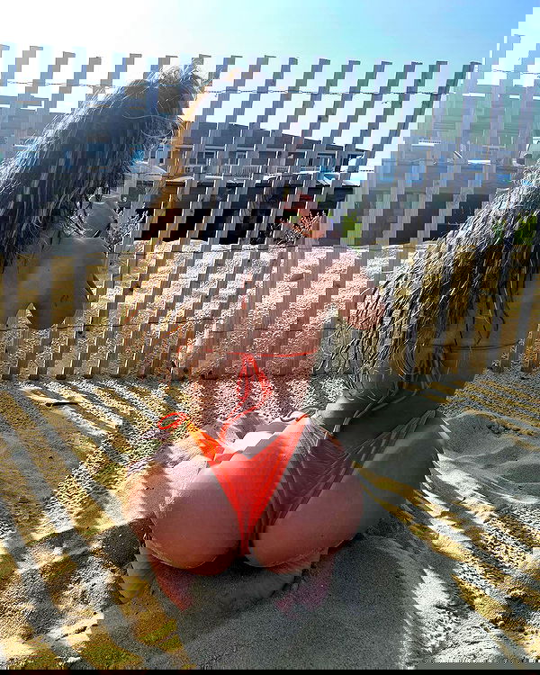 v.qx v.qx archive image