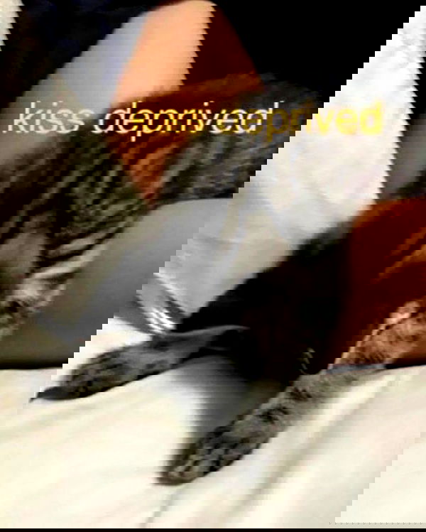 v.qx v.qx archive image