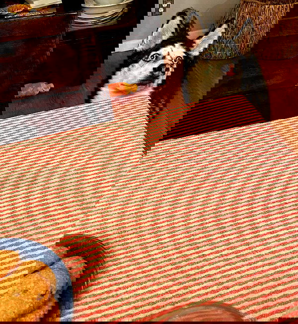 v.qx v.qx archive image