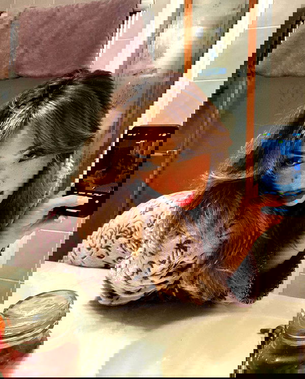 v.qx v.qx archive image