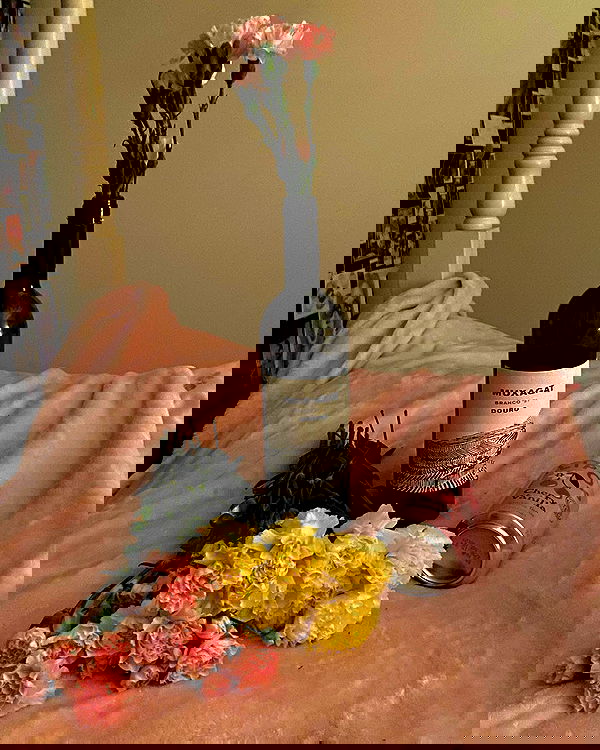 v.qx v.qx archive image