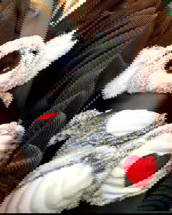 v.qx v.qx archive image