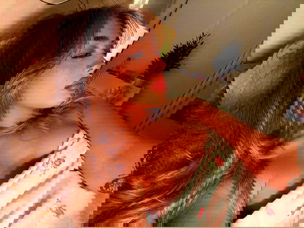 v.qx v.qx archive image