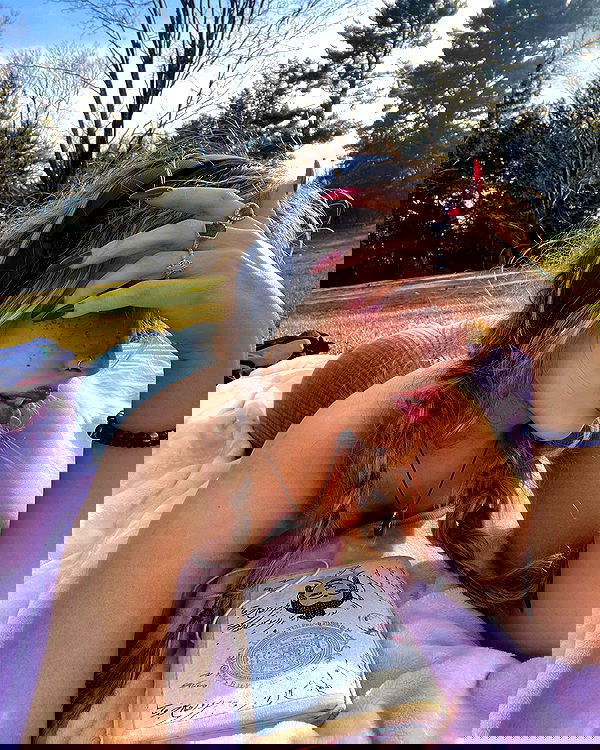 v.qx v.qx archive image