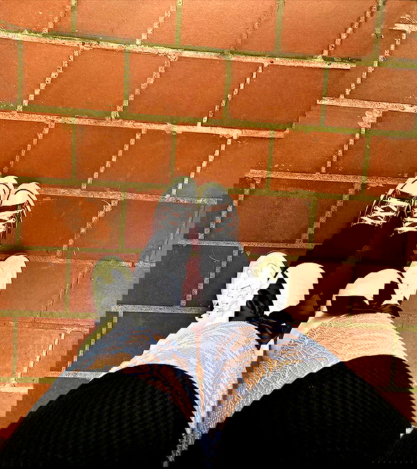 v.qx v.qx archive image