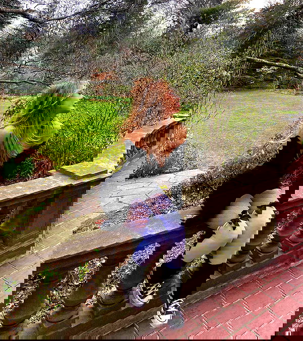 v.qx v.qx archive image