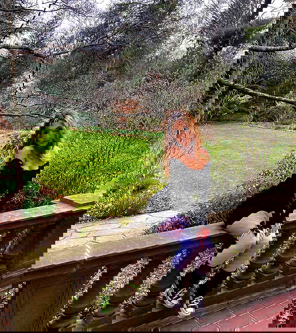 v.qx v.qx archive image