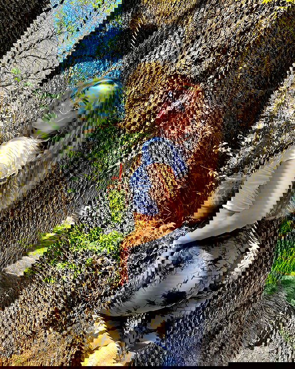 v.qx v.qx archive image