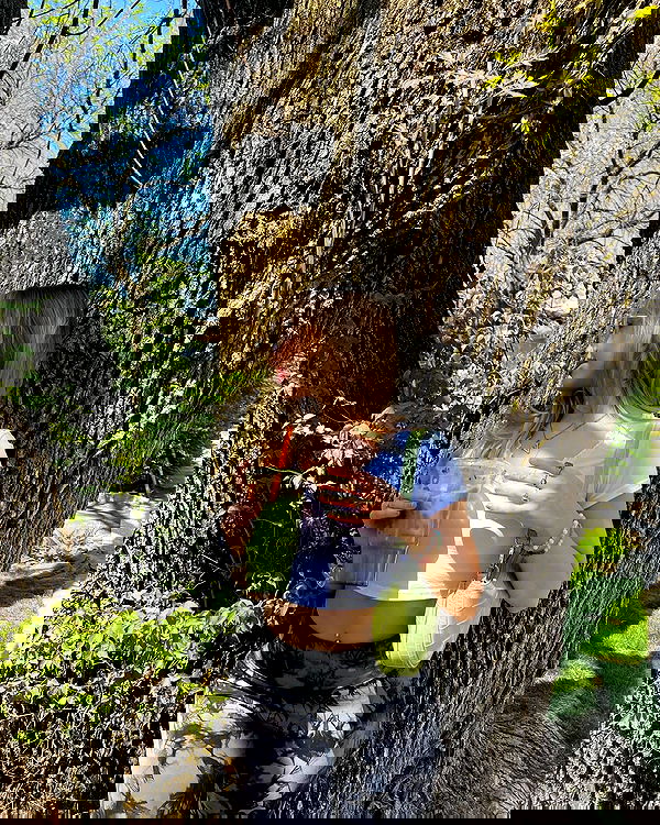 v.qx v.qx archive image