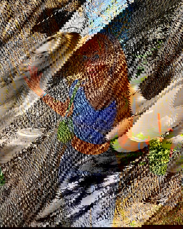 v.qx v.qx archive image