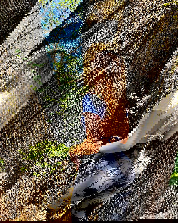 v.qx v.qx archive image