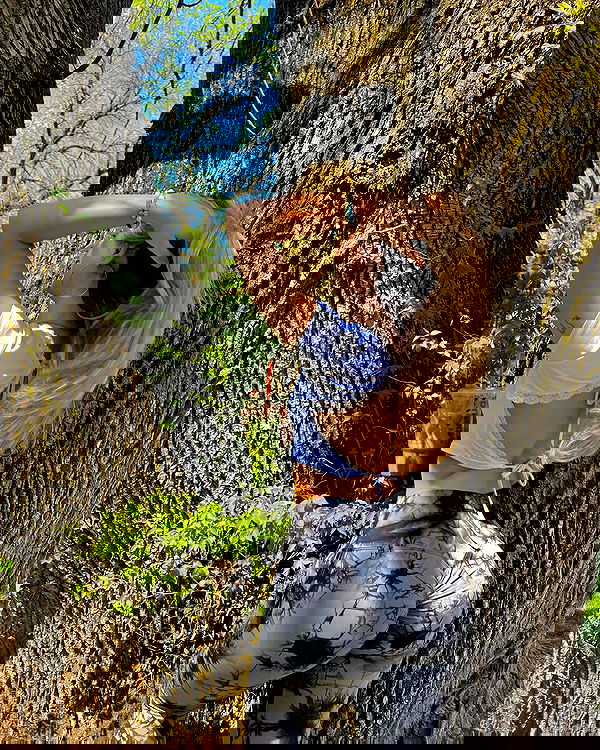 v.qx v.qx archive image