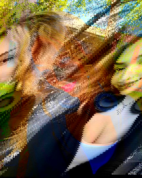 v.qx v.qx archive image