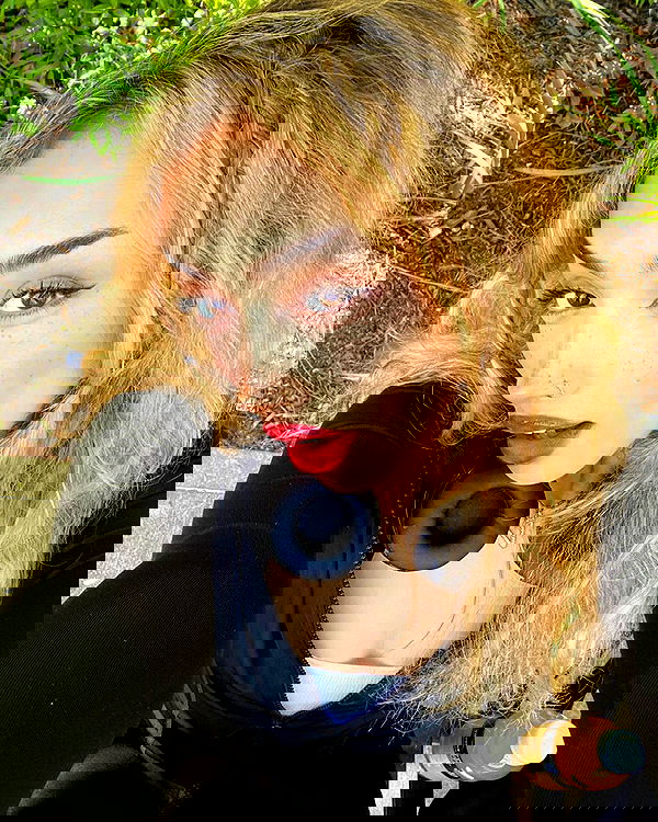 v.qx v.qx archive image