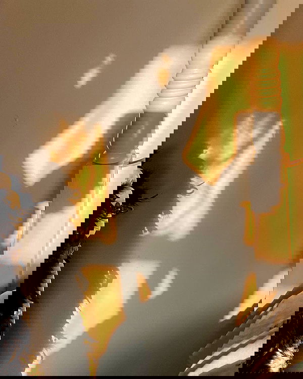 v.qx v.qx archive image