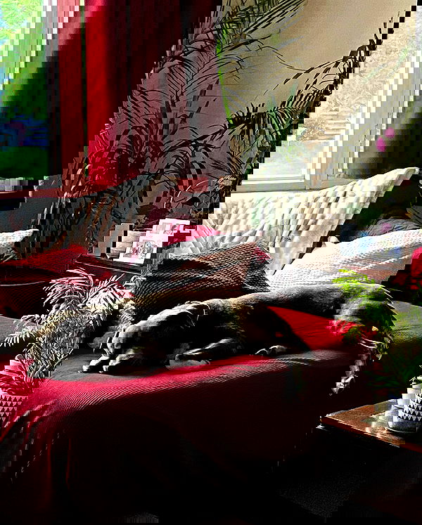 v.qx v.qx archive image