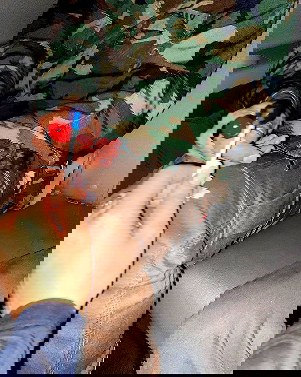 v.qx v.qx archive image