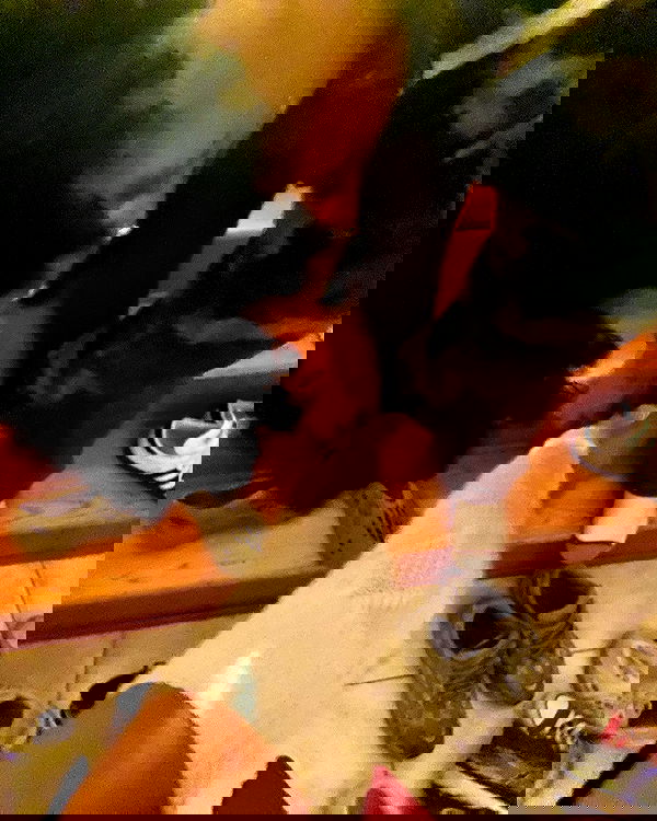 v.qx v.qx archive image