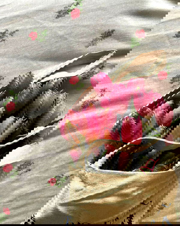 v.qx v.qx archive image