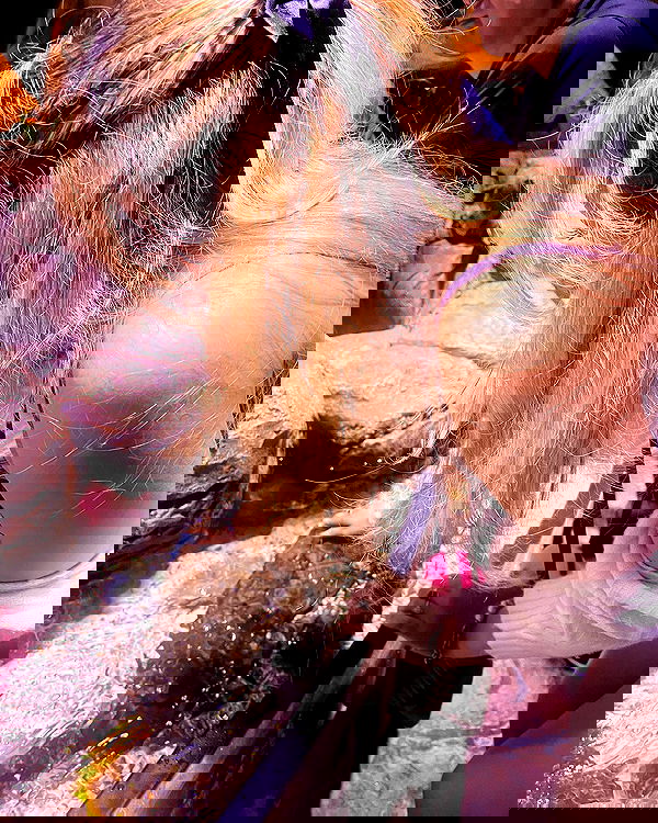 v.qx v.qx archive image