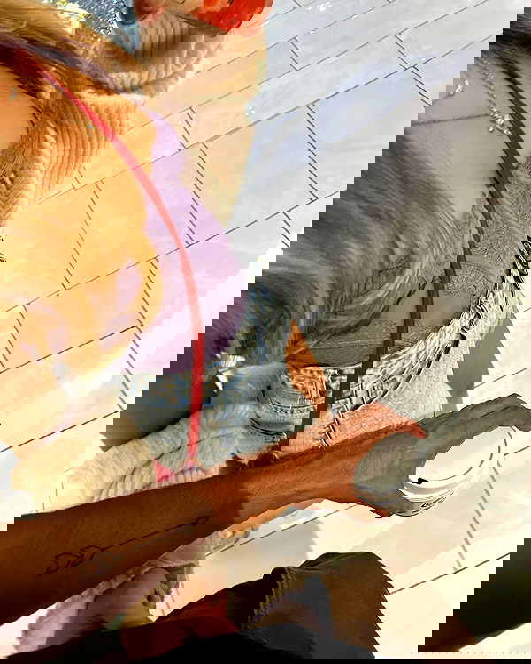 v.qx v.qx archive image