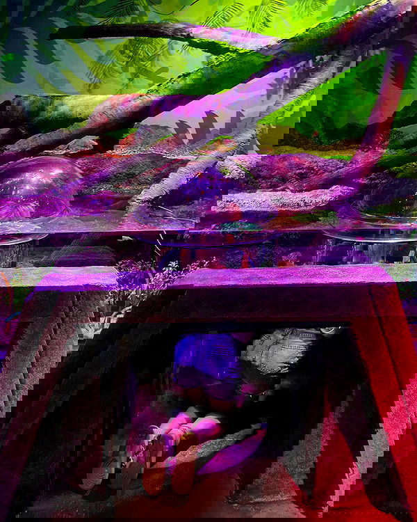 v.qx v.qx archive image