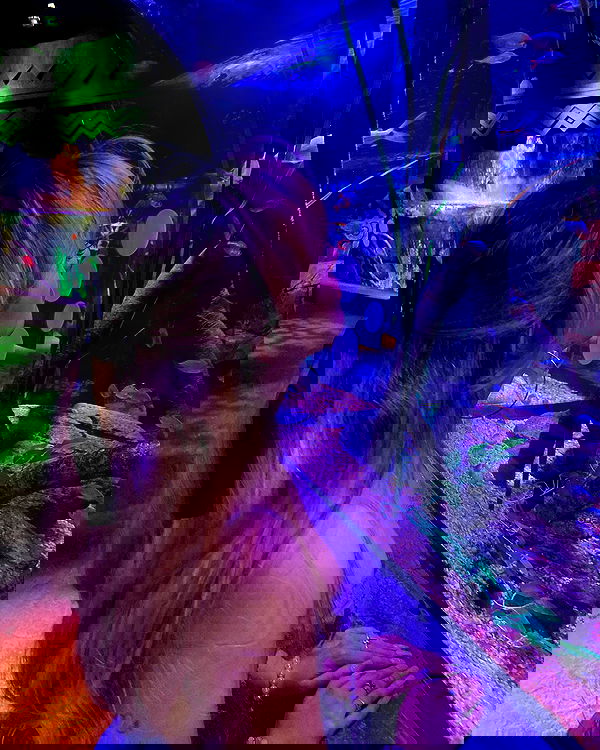 v.qx v.qx archive image