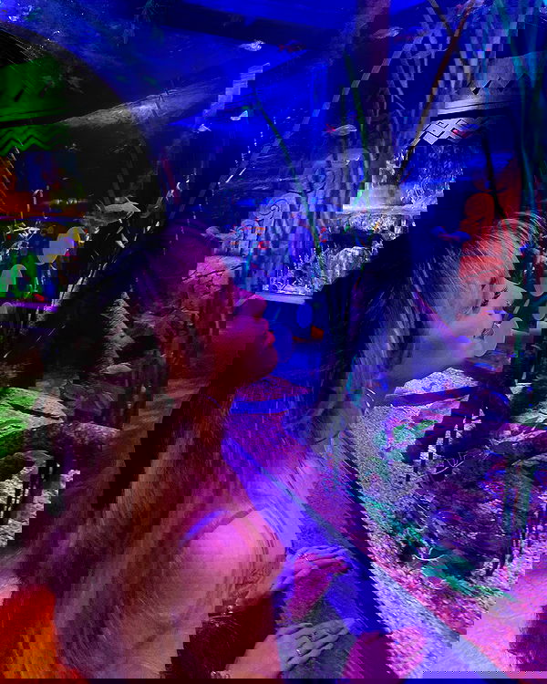 v.qx v.qx archive image