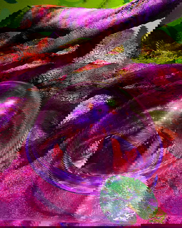 v.qx v.qx archive image