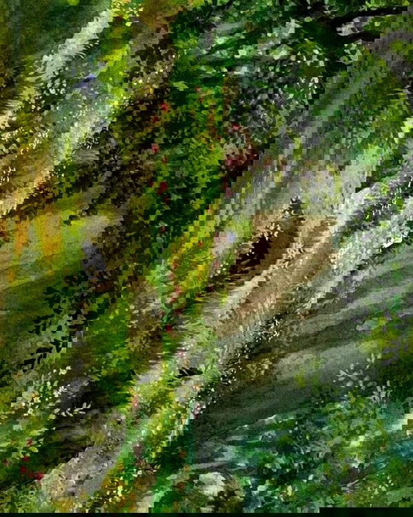 v.qx v.qx archive image