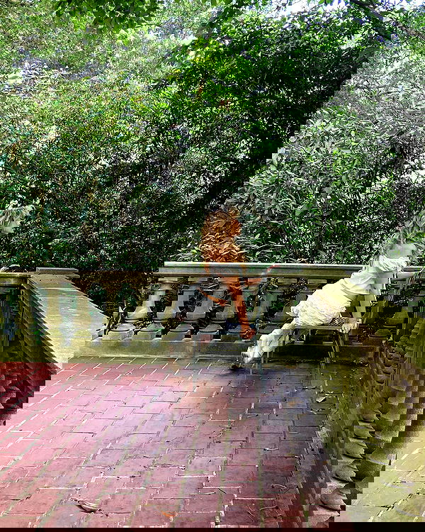 v.qx v.qx archive image