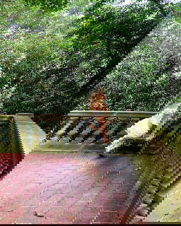 v.qx v.qx archive image