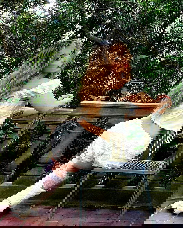 v.qx v.qx archive image