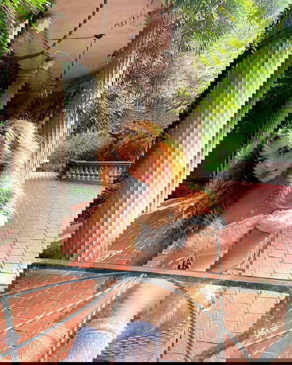 v.qx v.qx archive image