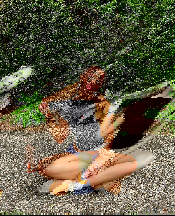 v.qx v.qx archive image