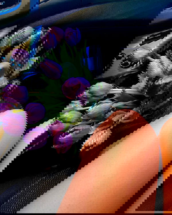 v.qx v.qx archive image