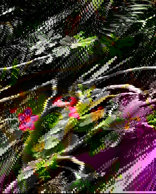 v.qx v.qx archive image