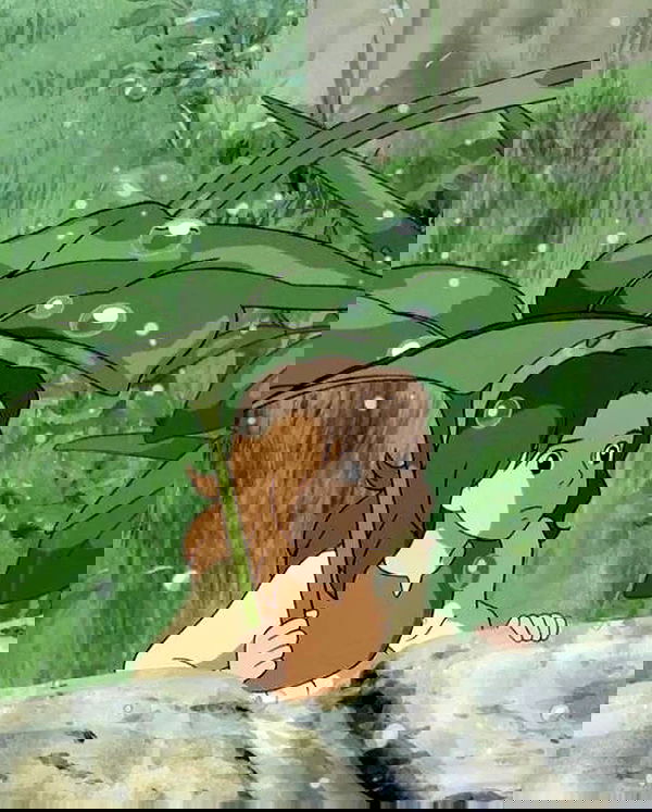 v.qx v.qx archive image