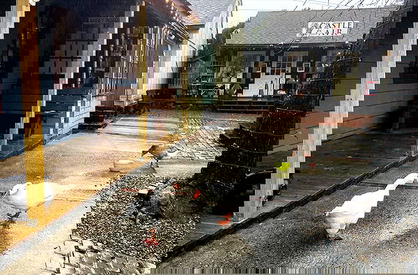 v.qx v.qx archive image