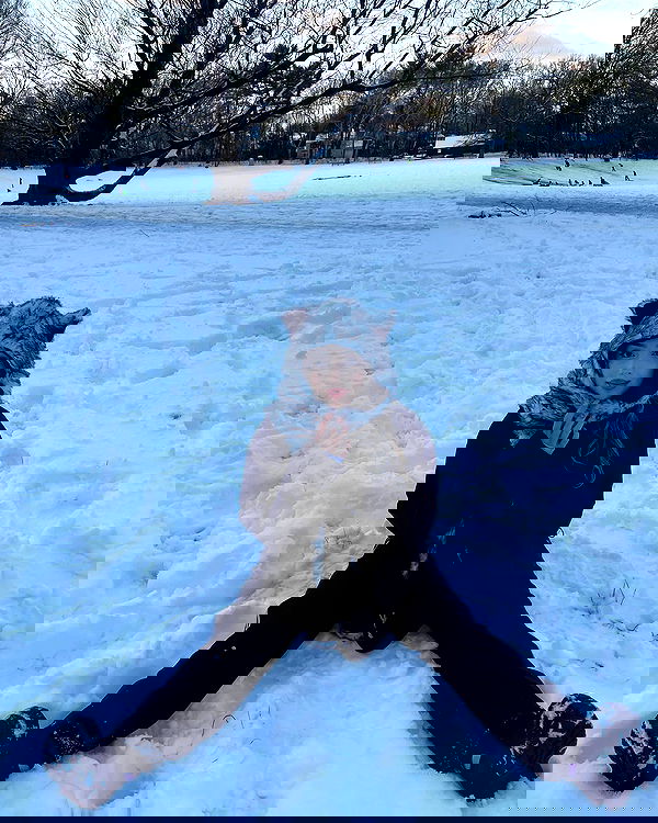 v.qx v.qx archive image