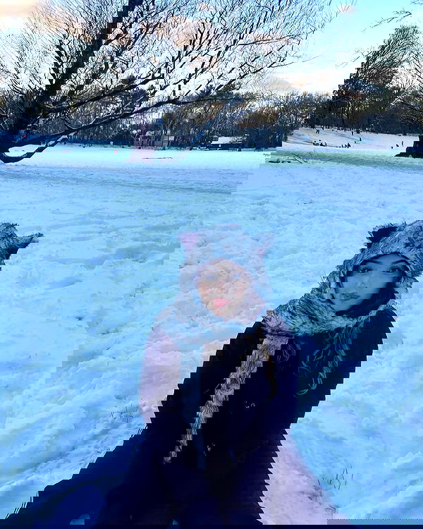 v.qx v.qx archive image