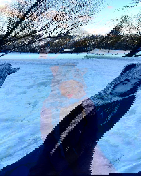 v.qx v.qx archive image