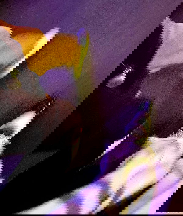 v.qx v.qx archive image